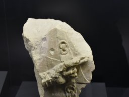 Ciudad de Elche 2022